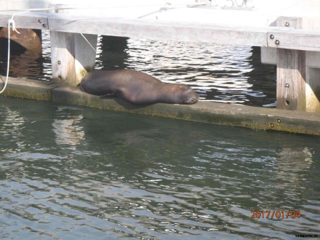 21070104 im hafen der kleine