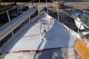 20130805 deck bug spitze