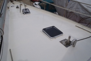 20130809 deck bug weiss